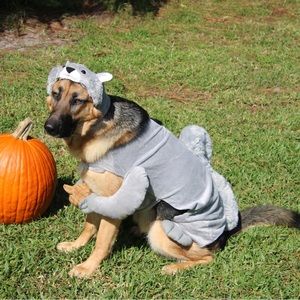 Squirrel Pet Costume Size Extra Large